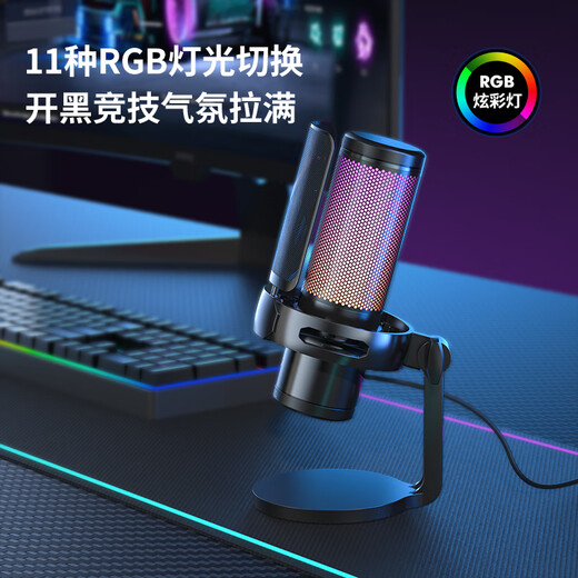 Newmine ZM09 Computer Microphone Professional Radio Microphone Game Noise Reduction Microphone Desktop Desktop USB Microphone Voice Live Karaoke Video Conference Dubbing Professional Condenser Microphone