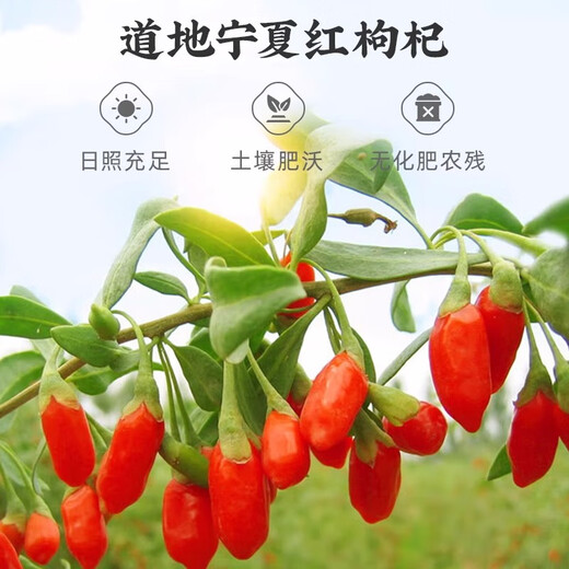 雷允上 宁夏枸杞子180g/瓶 滋补肝肾 益精明目 不熏不染 道地精选药典标准中药饮片级滋补品