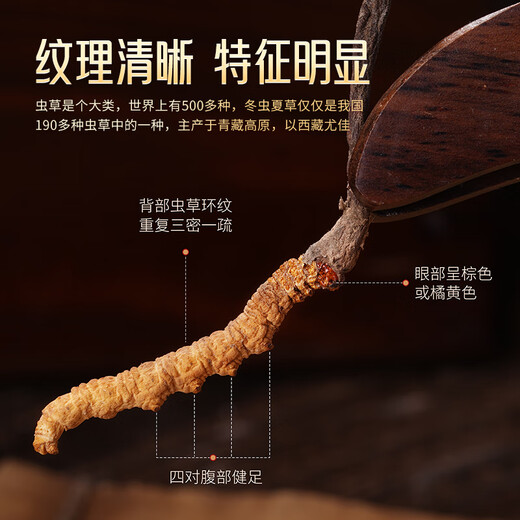Hu Qingyutang Cordyceps sinensis 4 racines / g Boîte-cadeau en cuir portant la main sur 18-20 Roots Tibet Wild Matter Cordyceps Sinensis