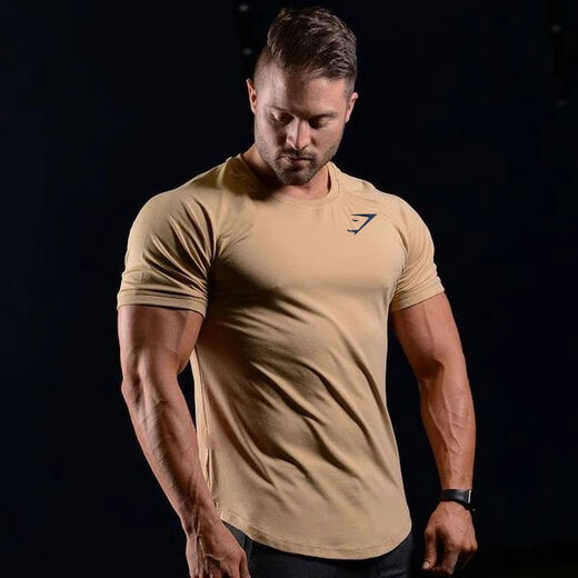 FCFV muscle lifting bodybuilding new bodybuilding shark T-shirt solid color tight elastic short-sleeved men quick-drying training suit top gray (real blue gray) M