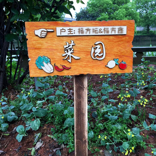 Xunliba flower and grass sign prompt sign class vegetable garden sign erected park kindergarten vegetable garden ground sign customization customized private shooting without delivery