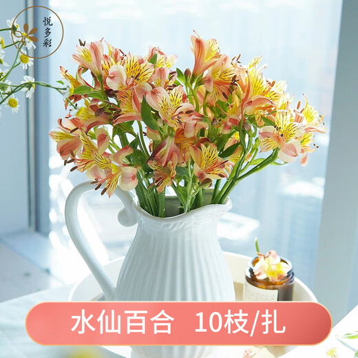 Yue Colorful Imperial Flower Princess Flower Amaryllis Flower Express Yunnan Base Straight Hair Hydroponic Fresh Cut Flowers for Girlfriends and Best Friends Narcissus Lily (Alstroemeria) 9-10 Branches