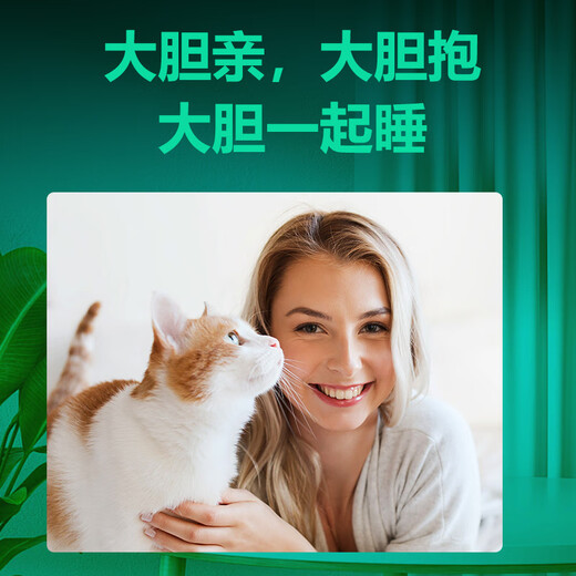 Little Pet Skin can be safe for cats, black chin oil, tail, dog odor removal, cleansing, no-wash foam 70ml