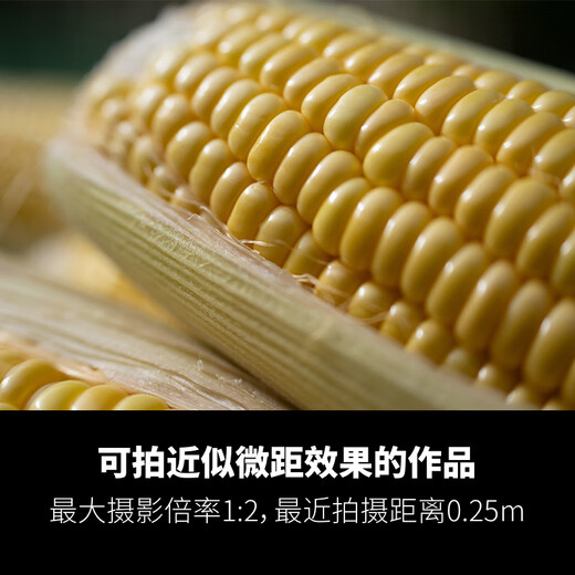 Tamron A067Z 50-400mm F/4.5-6.3 Di III VC VXD anti-shake portrait concert ultra-telephoto full-frame mirrorless lens (Nikon Z mount)