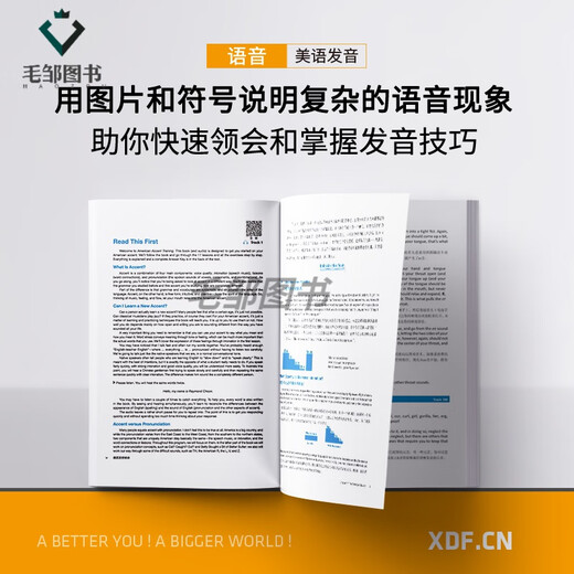 Genuine-Jingcang прямая доставка Секреты американского произношения 13 секретов американского произношения Книга советов и подсказок по английскому языку Энн Кук Онлайн-курс American Accent Training English