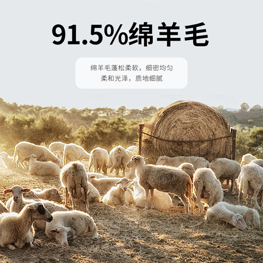 浪登[绵羊毛混纺]2024秋冬男士羊毛开衫外套厚款棒球领针织上衣男 军绿色 L (175/92A)
