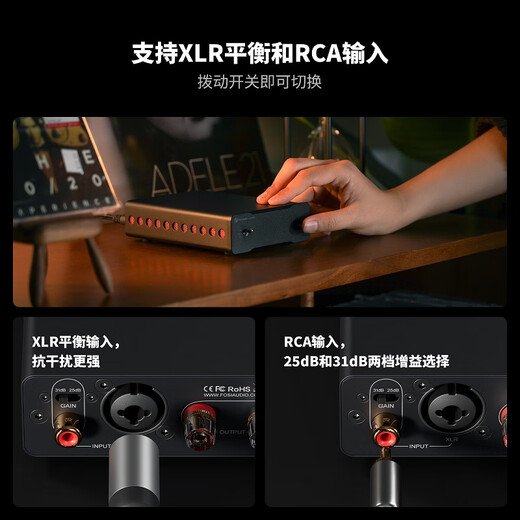 FOSI AUDIO弗西音频V3MONO单声道HiFi数字功放机发烧级迷你纯功放机高音质桌面重低音功率放大器 黑色【裸机无电源】