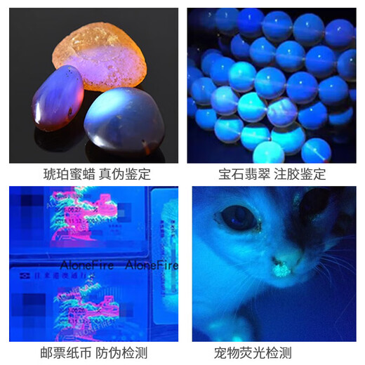 MOTIE Purple Lamp Identification Wood's Lamp UV Flashlight 365nm Fruit and Vegetable Fluorescent Detection Pen Plate Banknote Inspection