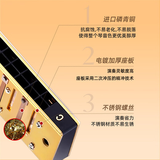 Восточный акцент Ding Harmonic T2110 Играет на первичные 12 тона для начинающих студентов для взрослых 21 лунки [C Tune] Рекомендуемая модель для начинающих
