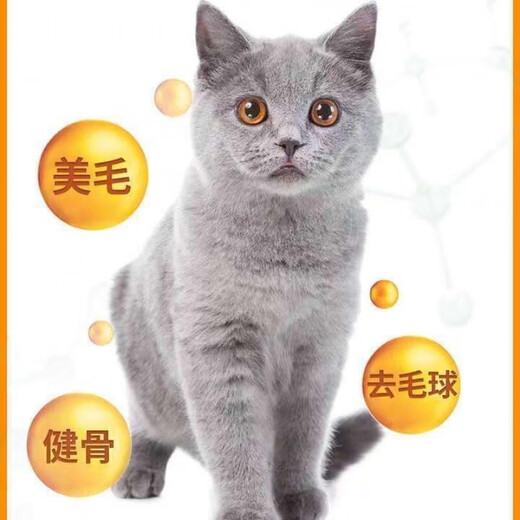 Prominent Cat Food 10kg Marine Fish Flavor General Cat Food Beef Flavor 20Jin Jin equals 0.5kg Fish Flavor 20 1 bag 10kg Beef Flavor