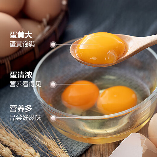 Local eggs, grain-fed, farm-raised fresh eggs, about 40g, breakfast Jingdong fresh soft-boiled eggs, 4 pieces 40-50 Local eggs, grain-fed, farm-raised fresh eggs, about 40g, breakfast Jingdong fresh soft-boiled eggs, 4 pieces 40-50