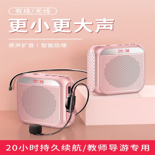 Yinglai Little Bee Amplifier Teacher's Special Microphone Caller Teacher's Class Wireless Headset Lecture Speaker Standard Edition Black with Bluetooth++ Headphone/Waist