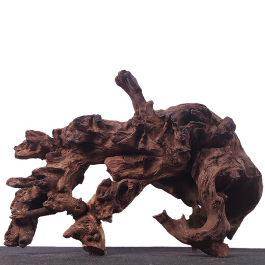 
SLPC fish tank landscaping decoration sunken wood natural dead wood tree root ornament turtle avoids purple teak stump grass tank South American tank Deep khaki color 1047