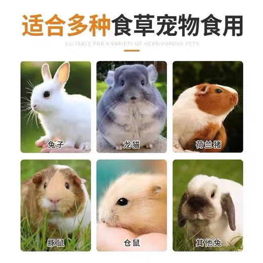 Pet rabbit food 10 Jin Jin is equal to 0.5 kg 20 Jin Jin is equal to 0.5 kg 80 Jin Jin is equal to 0.5 kg Rabbit feed wholesale adult rabbit baby rabbit female rabbit food Rex rabbit domestic rabbit food Youlaimi Female and baby rabbit food 20 Jin Jin is equal to 0.5 kg
