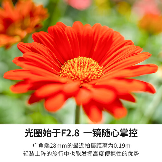 Tamron A071S 28-200mm F/2.8-5.6 Large Aperture Telephoto Large Zoom 28-200 Full Frame Mirrorless Lens 28200 Sony FE Mount Official Standard Comes with Tamron UV Filter + Photography Shoulder Bag + Cleaning Kit