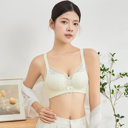 Sweet ladylike lingerie bra for women with small breasts to show their size, push-up upper support auxiliary breasts, adjustable bra without steel rings, light green B90