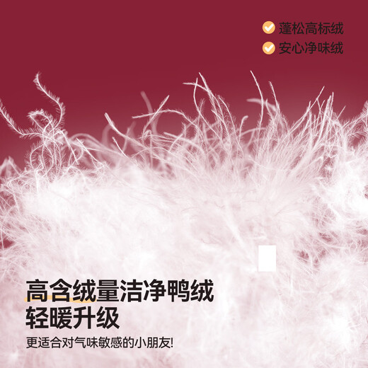 ASK JUNIOR Children's Boys Down Jacket Autumn and Winter Boys' Warm 90 Velvet Raglan Sleeve Cardigan Down Jacket Red 150