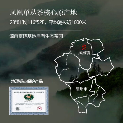 顶青湖 特级鸭屎香凤凰单枞茶 潮州乌岽单丛头春高山乌龙茶50克