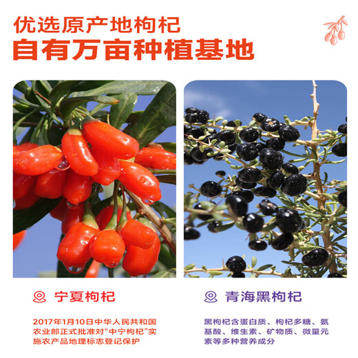 
Postal agricultural product red and black wolfberry raw pulp Ningxia Zhongning Qinghai Fruit Freshly squeezed wolfberry juice bag Pure raw pulp New Year gift box Red wolfberry * 6 boxes + 6 boxes of black wolfberry