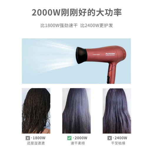 Feike Haartrockner für Haushalt Hochwind-Trocknungsnegativ Ionen Haarpflege Salon-Haar Salon Spezielle Hochleistungshaartrockner Feeike 6231 Schwarz 2000 W + Trockenhaarkappe