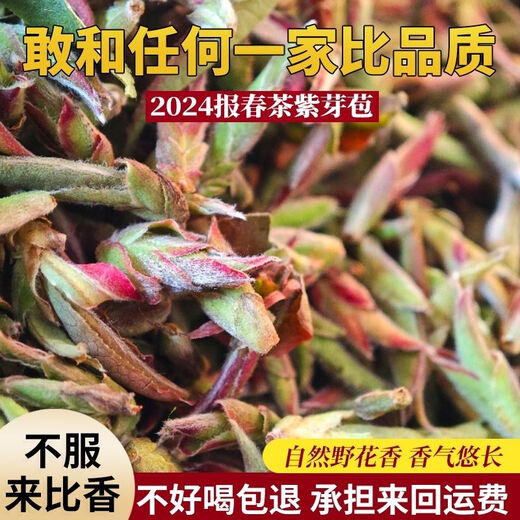 EDO PACK 2024 Yunnan Touchun Tea Purple Bud Tea Ancient Tree White Spore Tea Raw Loose Tea White Spore Half Jin Jin equal to 0.5 kg (large bud)