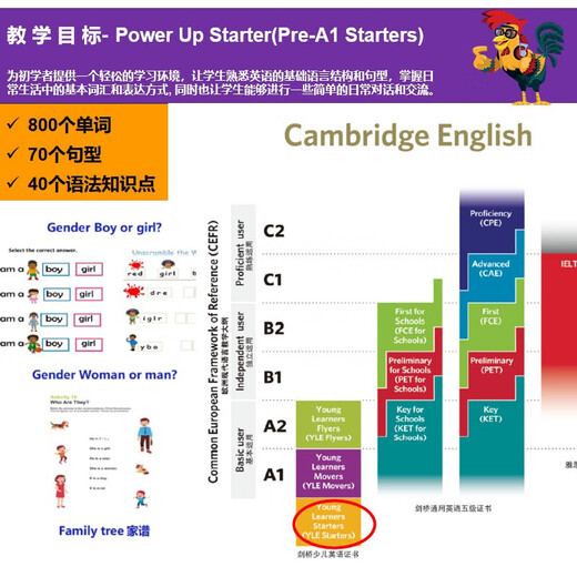 剑桥国际少儿英语  Power up 3级别 主课本+练习册+词汇练习册（剑桥大学出版社） 剑桥官方考试教材 YLE考级教材 英文原版进口 儿童英语学习