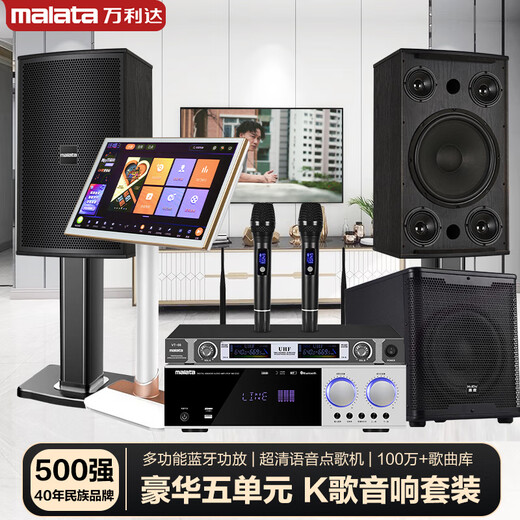 Wanlida Heim-KTV-Audio-Set, Leistungsverstärker, Karaoke-Maschine, Gesangsmaschine, System, Touchscreen, All-in-One-Karaoke-Heim-Karaoke-Lautsprecher-Ausrüstung, komplettes Set BY-310 10-Zoll-Set + 500G Karaoke-Maschine + Subwoofer