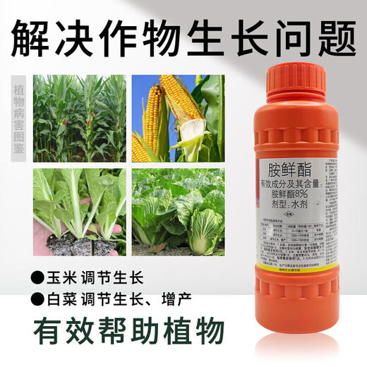 Guoguang Youlehong 8% amine fresh ester coloring increases root production, promotes cell division, preserves flowers and fruits, growth regulator 500ml * 20 bottles per box