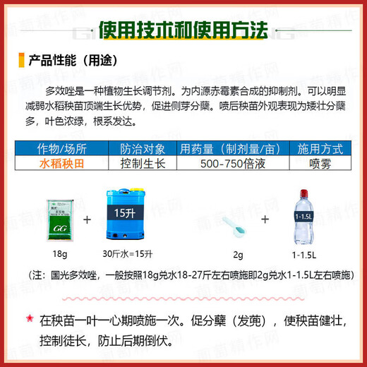 Guoguang 15% Paclobutrazol Succulent Prevents Leggy Growth and Promotes Root Development Chlormequat Fruit Tree Growth Regulator 500g (Full Box of 20 Bags)