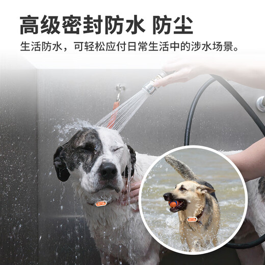 Newsmy Newman pet gps locator cat and dog sports anti-lost collar anti-disassembly sports tracking tracker waterproof