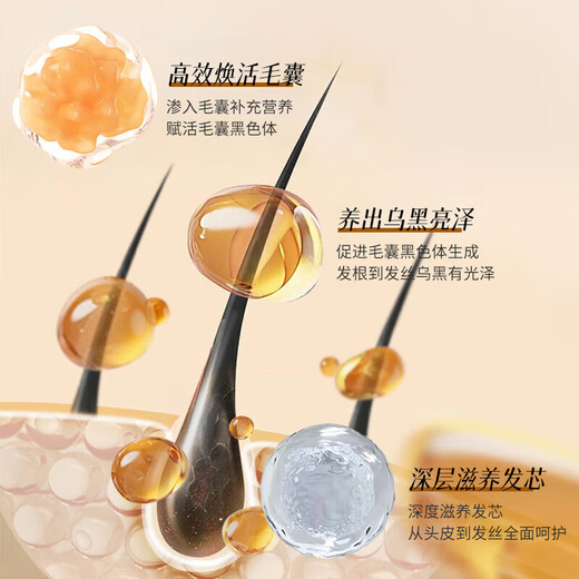 Daiqing Silk Antieletion Shampoo Shampoo Fat Donglai Тот же официальное солидное развитие и рост крем для волос Флагманский антилоговый мужчина и женский магазин 1 бутылка 420 мл [контроль нефти, анти-отрывок, антиталость и пушистость]