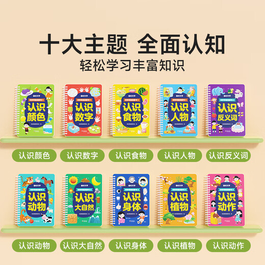 时光学（SHIGUANGXUE）识字早教安静书魔术贴幼儿早教玩具学前识字卡片儿童手撕拉粘贴书 【4册基础】数字+颜色+食物+人物