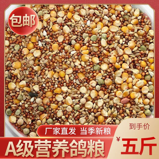 New pigeon food nutrition contains corn 10kg bird food homing pigeon white adult young pigeon ornamental pigeon food without corn pigeon food 10Jin Jin is equal to 0.5 kg