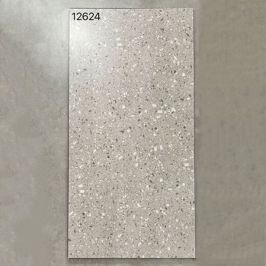 维诺亚600x1200仿古地砖防滑客厅水泥灰仿古砖工业复古风极简风哑光地面 12611