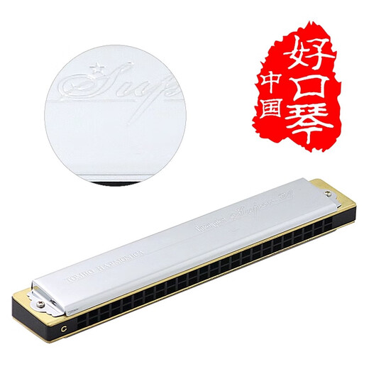 Tongbao Japon Tongbao 6624S Adulte Harmonica Performance professionnelle Étudiants Advanced Polyphonic harmonica 12-tunes, symboles phonétiques, morceaux couramment utilisés, cadep