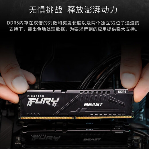 Kingston FURY 5th Generation 16GB DDR5 5200/5600 Desktop Memory Beast Beast Series Hacker God Bar Suitable for Black Myth Wukong Running Memory FRUY DDR5 5600MHZ Desktop Memory (Black) 32GB 2 (2*16G) 2 16G