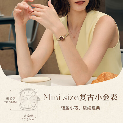 FIYTA star's same style small gold watch bamboo chain dark brown plate retro ladies watch New Year's Day gift for girlfriend