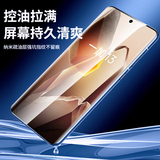 惠舟【秒贴2片装】一加手机钢化膜防窥无尘仓全屏保护膜适用1+ 一加13 电镀超清款丨2套装