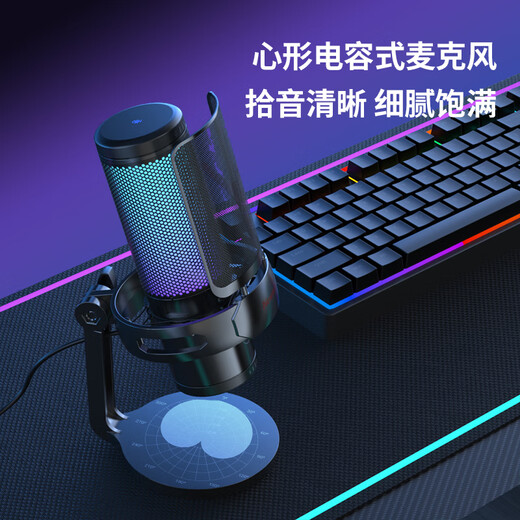 Newmine ZM09 Computer Microphone Professional Radio Microphone Game Noise Reduction Microphone Desktop Desktop USB Microphone Voice Live Karaoke Video Conference Dubbing Professional Condenser Microphone