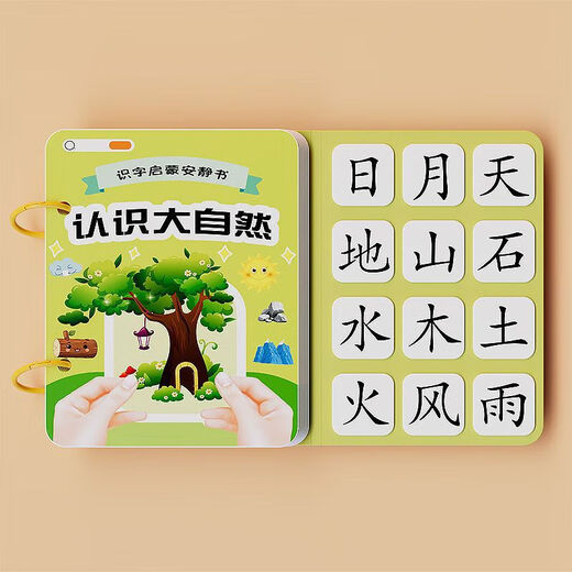 幼儿识字早教安静书宝宝粘贴书儿童魔术贴卡片玩具认字卡 【识字安静书】认识动作 无规格