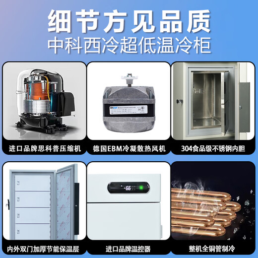 中科西冷科研实验室超低温冰箱-60度 生物医用标本疫苗冰柜零下80度 商业海鲜速冻-40度工业零件干冰冷冻柜 DL210（695×710×1795mm） -45度(-15度至-45度可调）