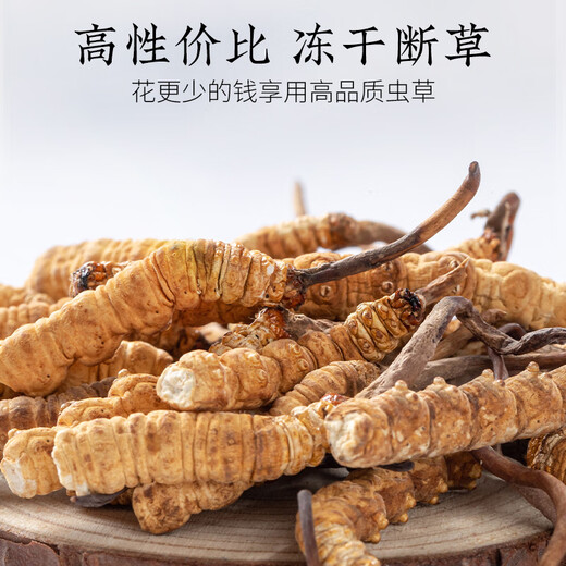 Tongrentang Marke Peking Tongrentang Cordyceps sinensis High-End-nahrhafte Nahrungsergänzungsgeschenke für Eltern und ältere Menschen 2 Flaschen 40 g [ausgewählter Grasabschnitt] Genießen Sie die ganze Familie