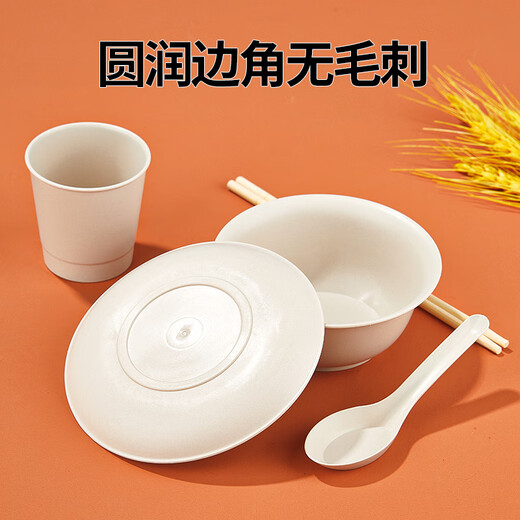 SHUANG YU disposable tableware five-piece set * 20 servings bowls, chopsticks, cups, plates and spoons outdoor picnic individually packaged