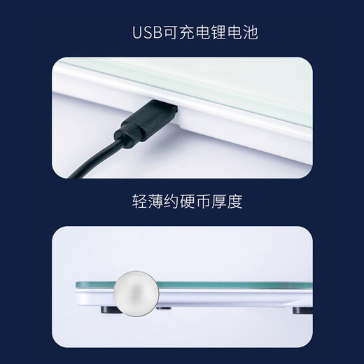百利达（TANITA） 电子秤家用精准健康智能体重秤体脂秤 高精度测量仪 FS-108四电极体脂秤 白色