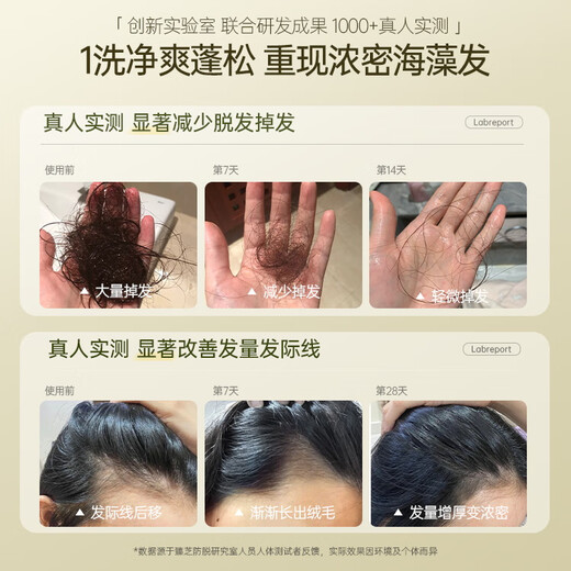 茵倩生姜防脱育发洗发水 男女士防脱发洗发水 控油蓬松去屑固发洗头膏