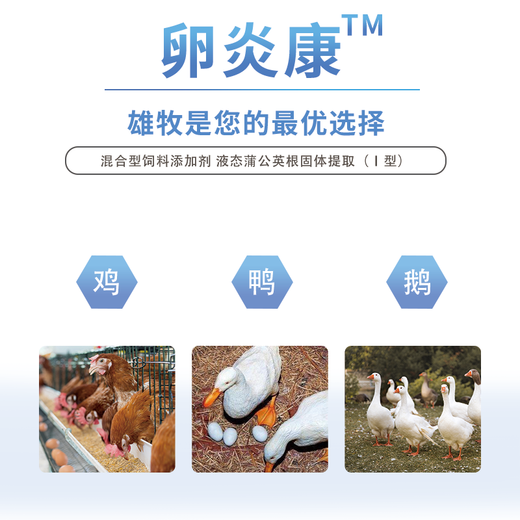 Egg Yankang for male herding pigeons, chickens, ducks and geese, for laying hens, salpingitis, blood shell eggs, for pigeons that do not lay eggs, Ou Yankang*1 bottle, general purpose for chickens, ducks and geese