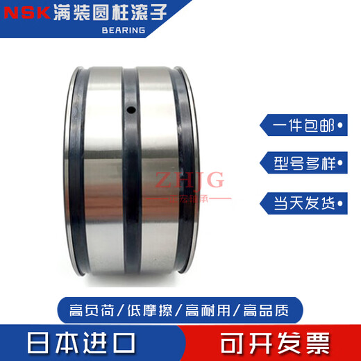 NSK Volllast zylindrische Rollenlager SL04/RS5009 5010 5011 5012 5013 NR PP RS5009NR/SL04 5009PPSE