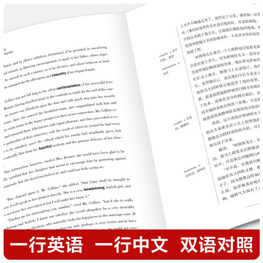 Englisch-Chinesisch zweisprachig „Stolz und Vorurteil“ Lesen Sie Klassiker, um Englisch zu lernen. Chinesisch-Englisch zweisprachiges Lesen von Weltklassikern. Lesen Sie chinesische und englische zweisprachige Versionen der englischen Version von Klassikern. Weltklassiker der Literatur. Lesen Sie Bestseller-Romane. Chinesische und englische zweisprachige Lesungen ausländischer Klassiker und Weltklassiker