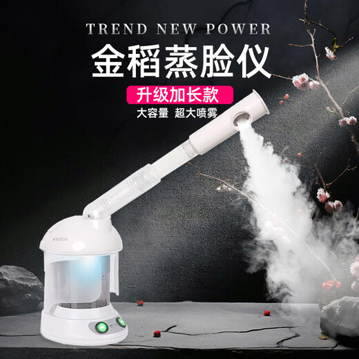 Golden Rice Hot Spray Facial Steamer Nano Ion Spray Moisturizer Facial Steamer Beauty Instrument Facial Steamer Home Open Pore Cleansing Moisturizer Hot Spray Model Extended Upgrade (Extreme Edition) - Home Use\Hospital Use\Mobile Beauty