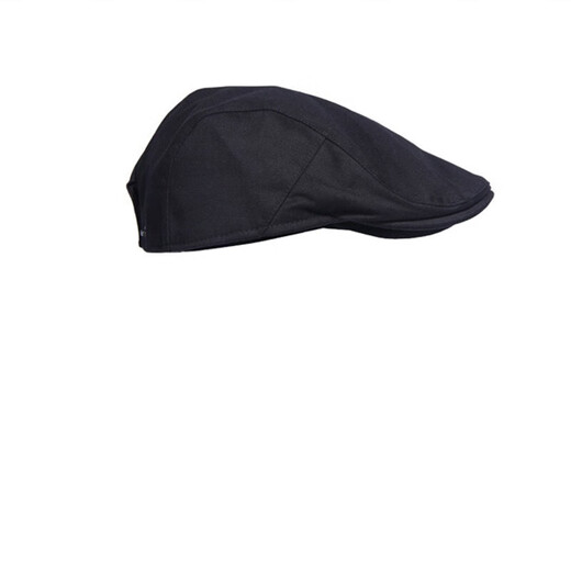 Specht Sommer Baumwolle Feste Farbe Basken Bassplatte Weiches Top Casual Newspaper Hut Retro Literary Fronthut Maler Hut Männer Kamel Camel Verstellbar